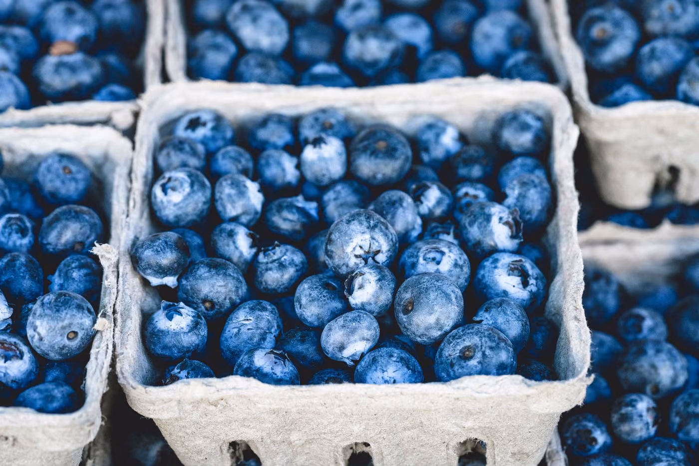 Frische Blaubeeren in Pappschalen