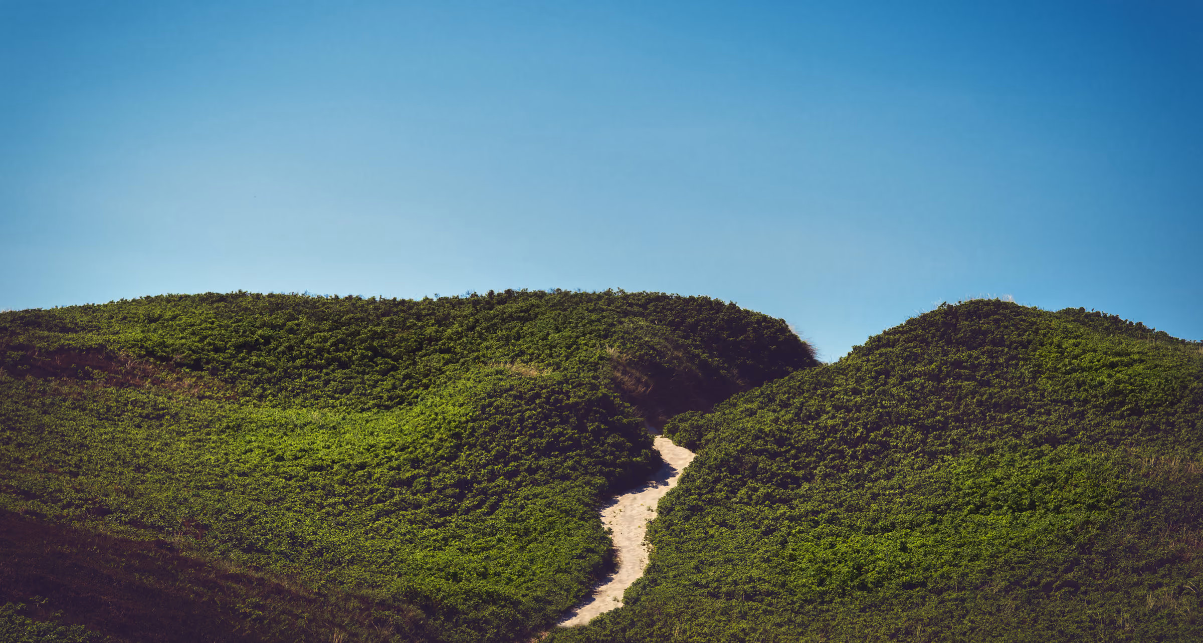 Weite Sylter Landschaft mit einem Pfad zwischen bewachsenen Hügeln unter weitem Himmel